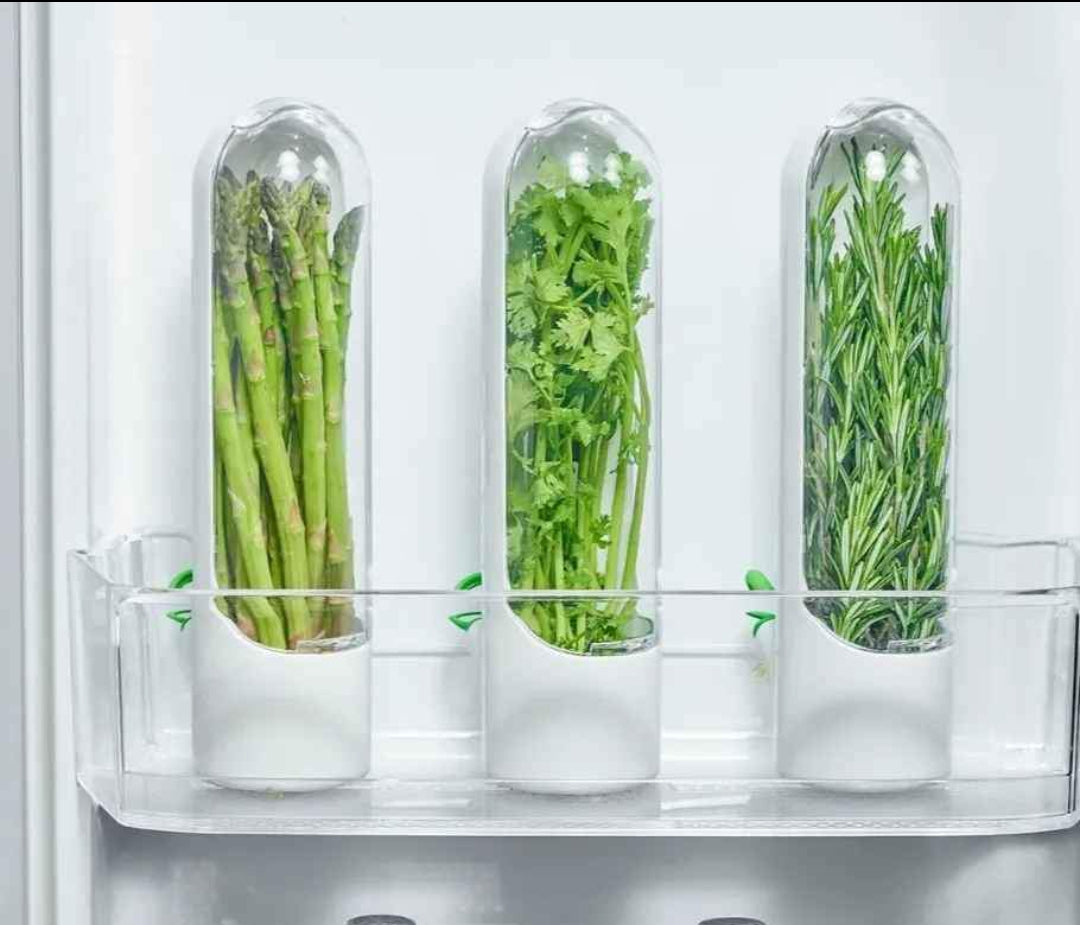 FreshKeeper: Conserva la frescura, disfruta el sabor.
