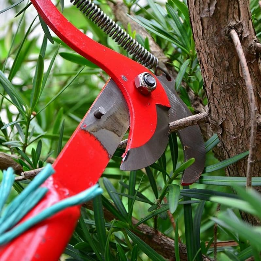 CorteFácil Pro Tijeras cortadora de ramas
