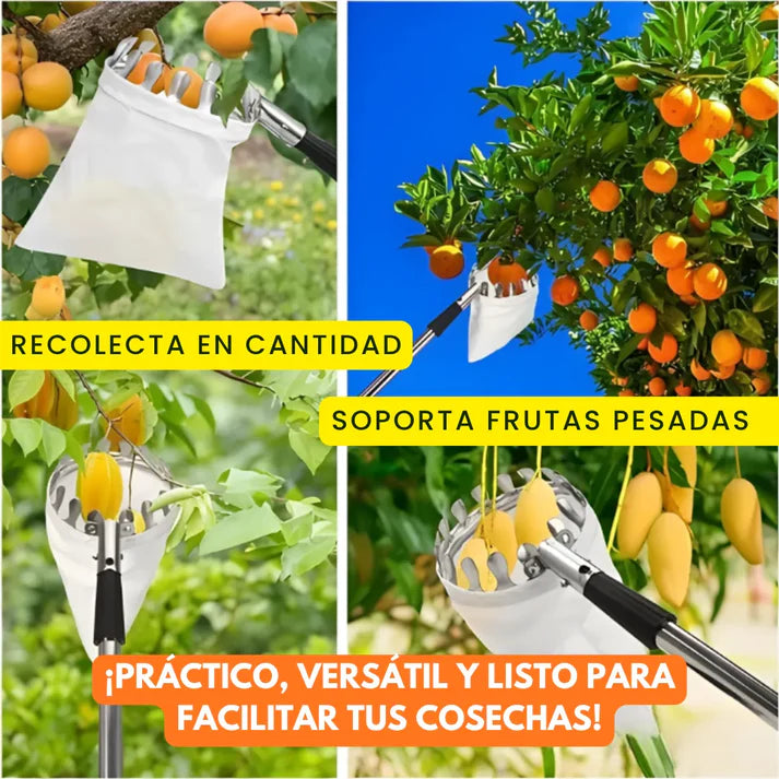 FruitMaster – Tu Cosecha Segura y Fácil